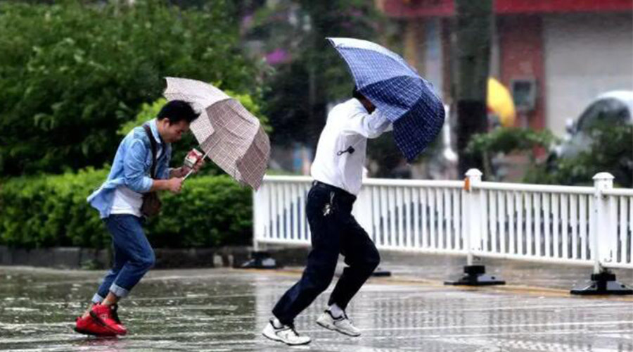 9號臺風“馬鞍”生成！金環(huán)電器提醒大家要注意的事項