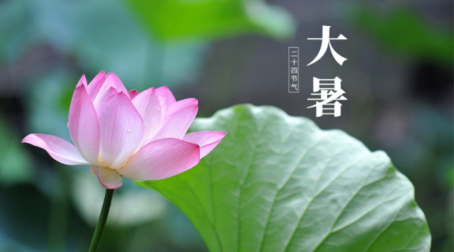 大暑時節(jié)！金環(huán)電器提醒大家注意這些干衣細(xì)節(jié)