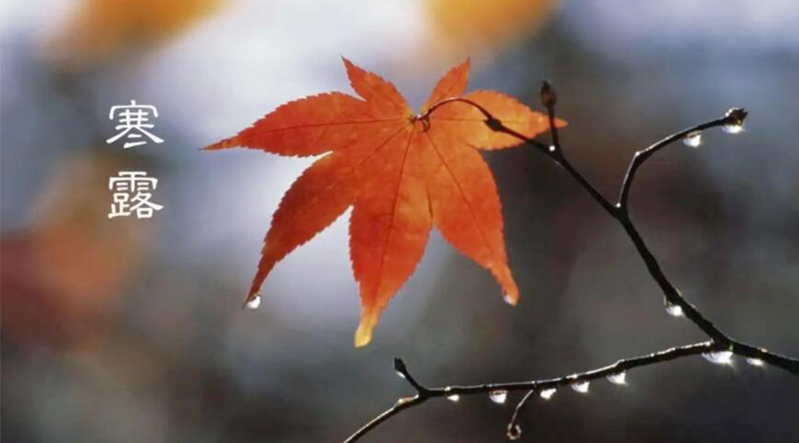 寒露時(shí)節(jié)！金環(huán)電器提醒大家要注意的事項(xiàng)