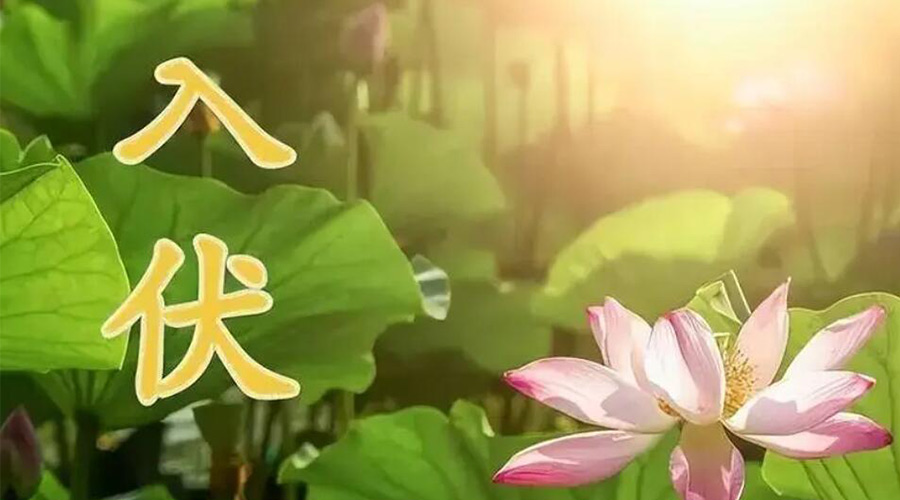 入伏天來襲！金環(huán)電器提醒大家要注意的事項