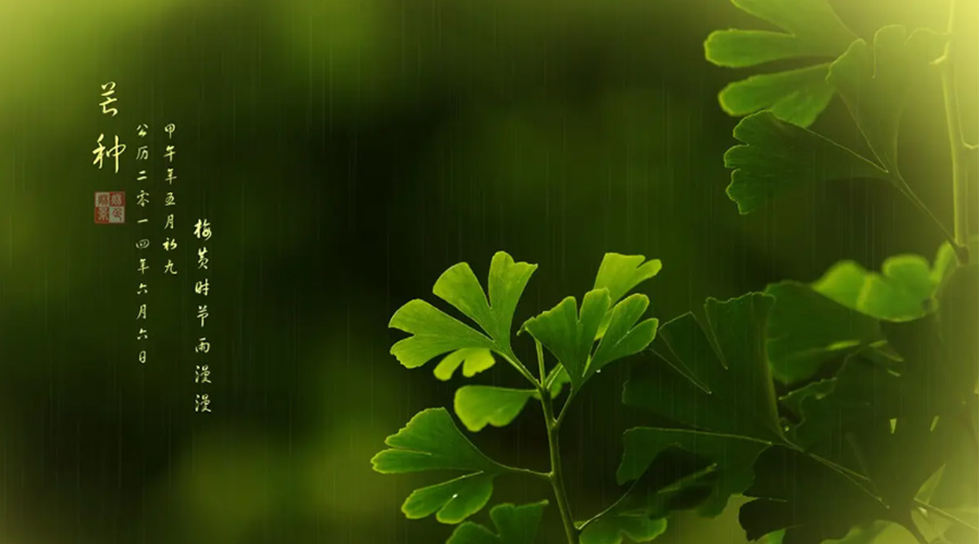 芒種時節(jié)！金環(huán)電器提醒大家的注意事項