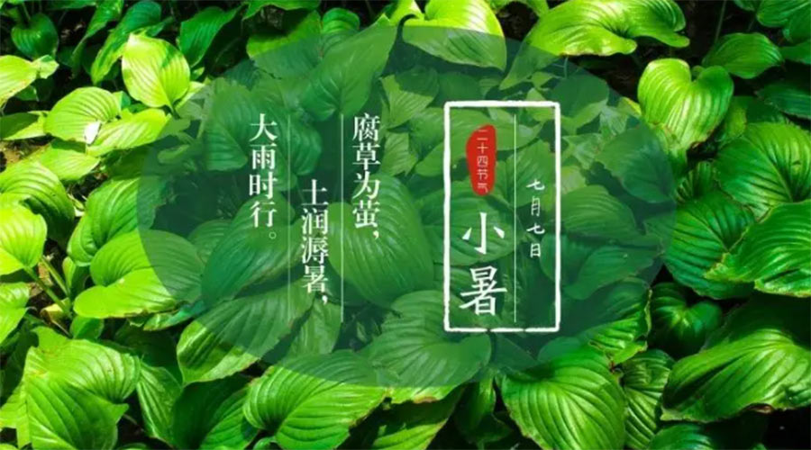 小暑時節(jié)來到！金環(huán)電器提醒大家要注意的事項(xiàng)
