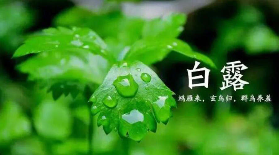 白露時(shí)節(jié)！金環(huán)電器提醒大家要注意的事項(xiàng)