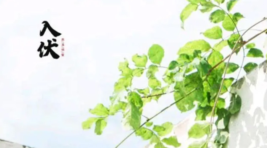 初伏時節(jié)！金環(huán)電器提醒大家要注意的事項